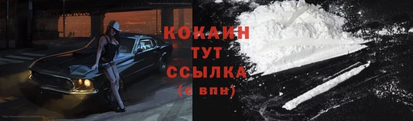 крисы Горнозаводск
