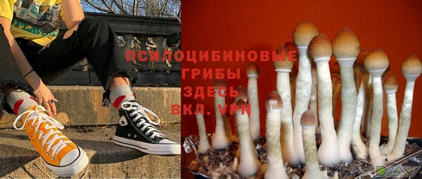 синтетический гашиш Медвежьегорск