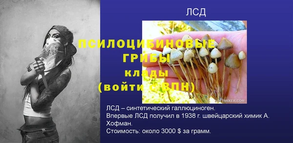 apvp Мегион