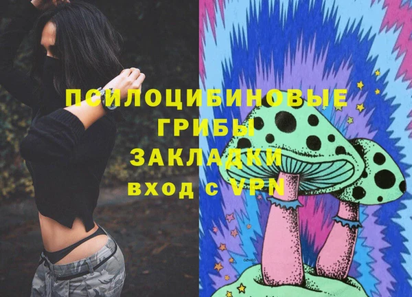 ПСИЛОЦИБИНОВЫЕ ГРИБЫ Магадан